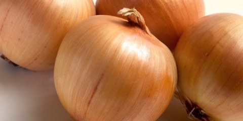 Bolesti i štetočine luka i njihovo suzbijanje